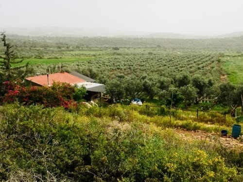 בשביל האושר - סוסים וריינג'ר